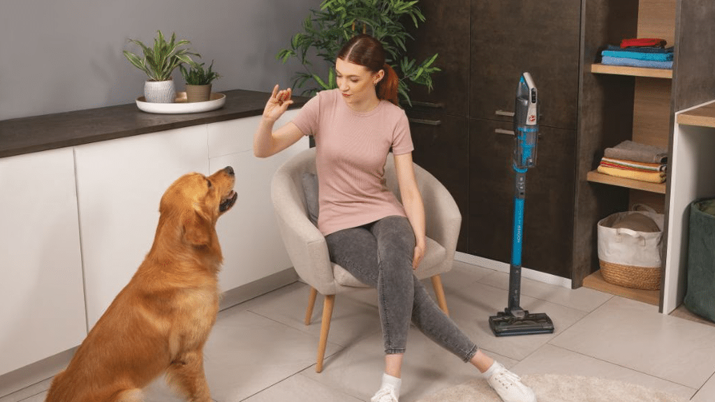 Hoover HF500 Cordless Vacuum Cleaner HF522STP 011 u